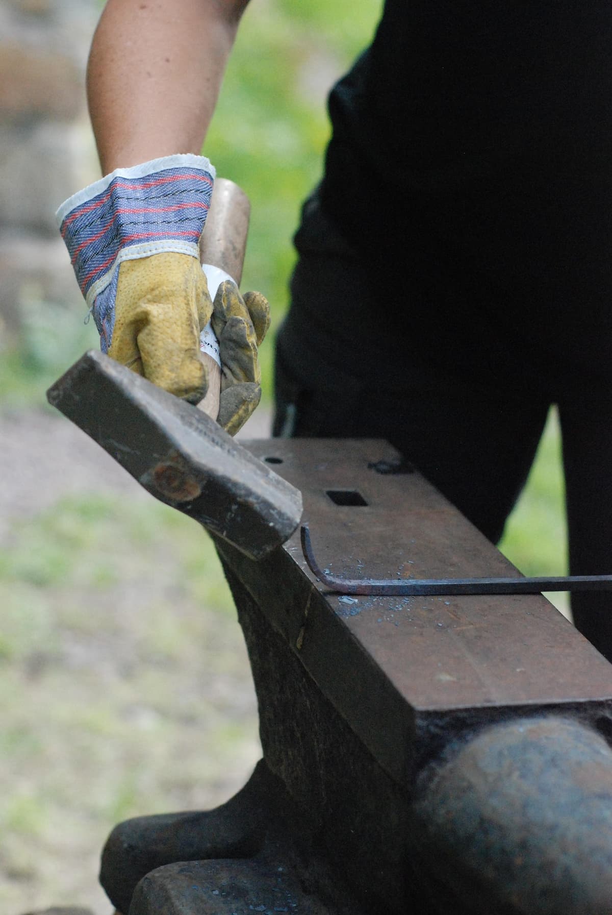 Raupe, Puppe und Schmetterling